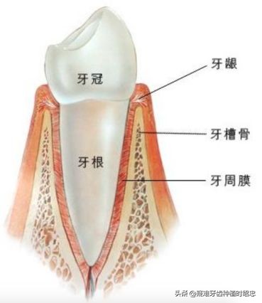 只剩残根的牙真的能补救吗,烂的只剩下黑色残根的牙怎么处理