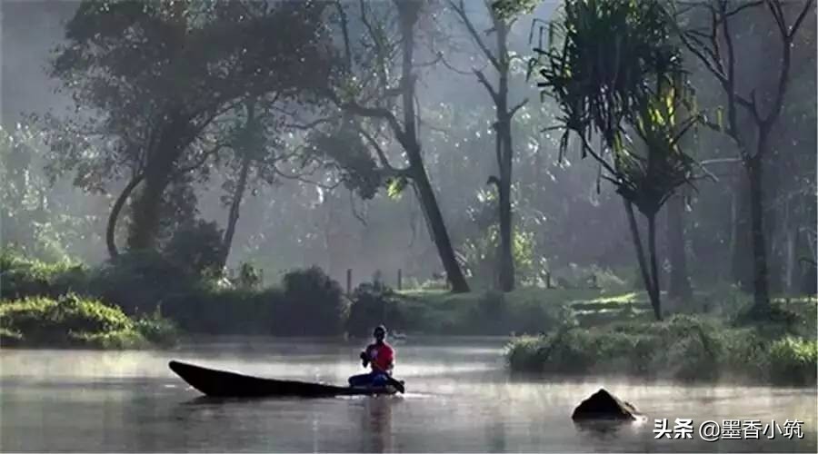 寓言故事大全关于狼的故事,家狗和狼的寓言故事