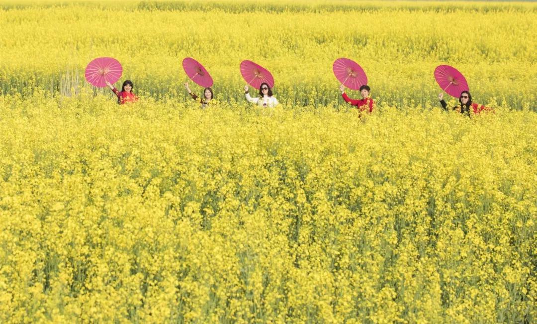 灌云有什么游玩的景点吗,灌云旅游景点推荐一日游