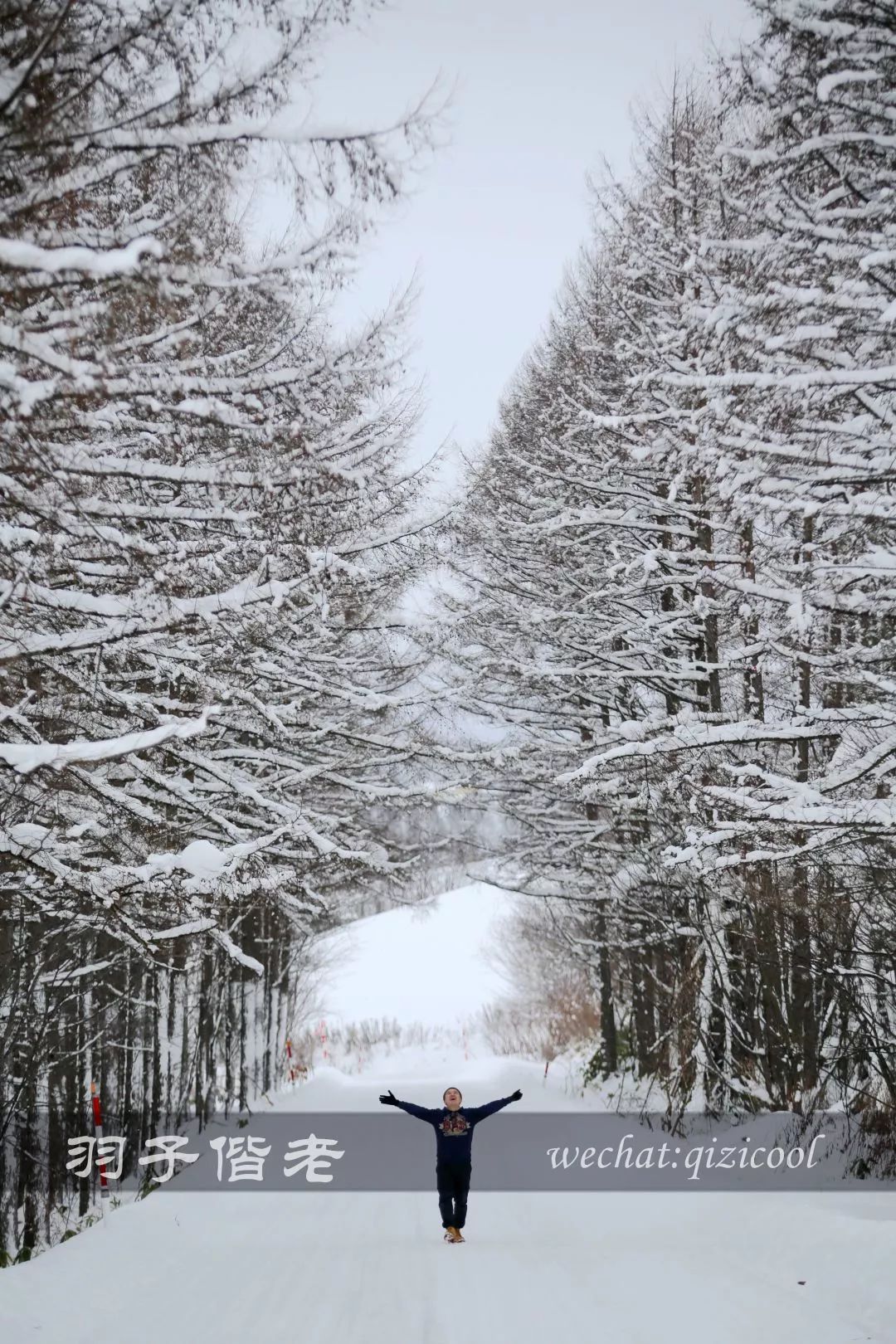 老实说，这一趟北海道就是为了拍好看的照片去的