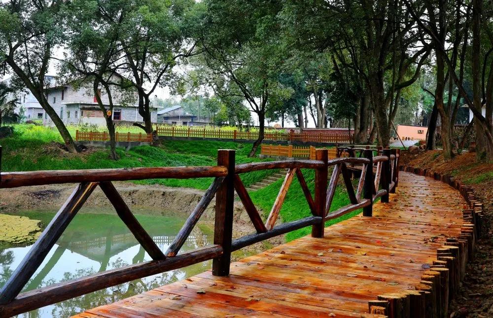 【谁不说咱家乡美】美丽中国，“乡”约万安（河西片）