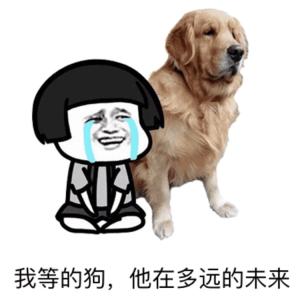 给狗狗接生,给狗狗接生有没有忌讳