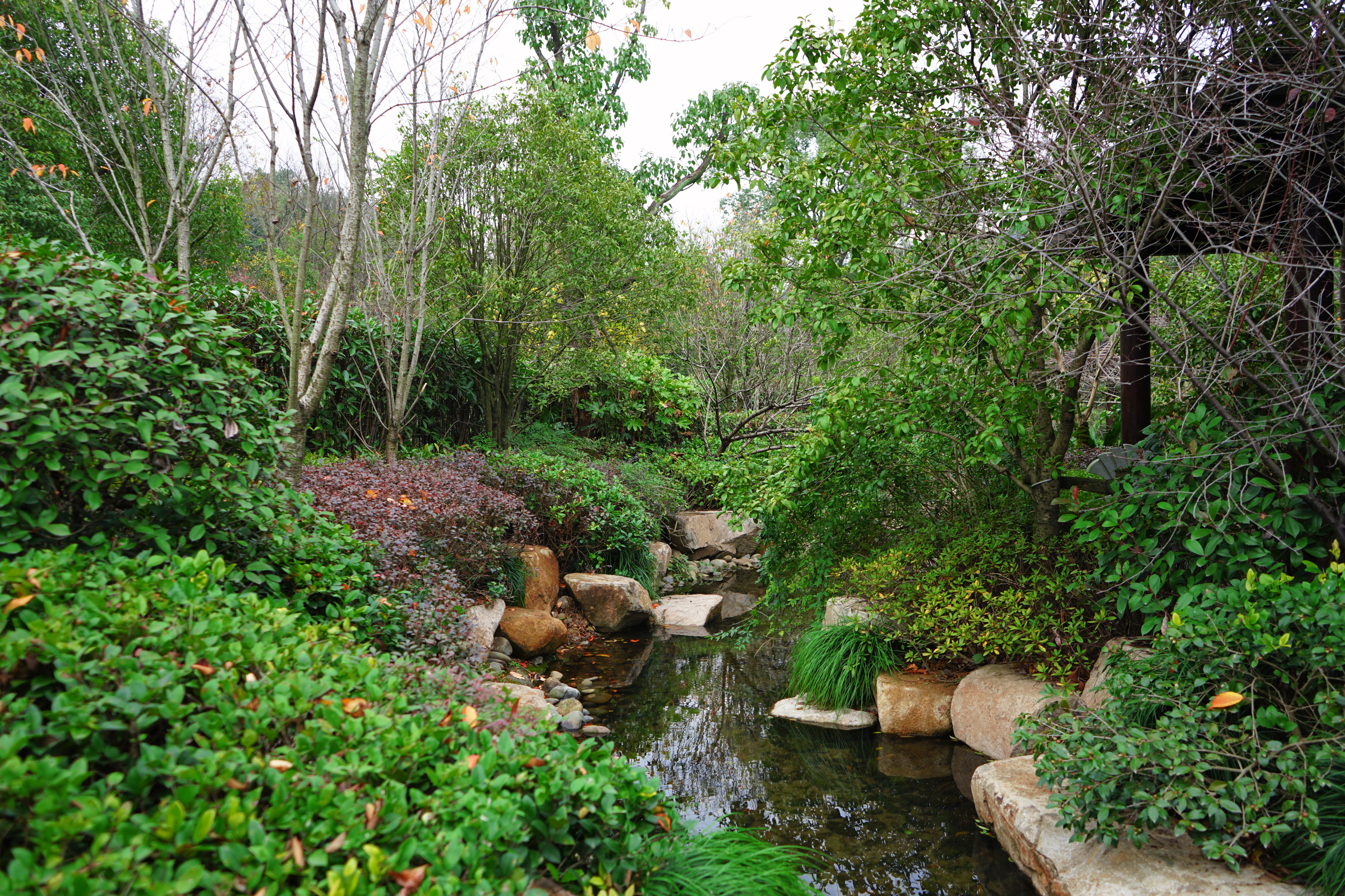 良渚君澜双人温泉,冬日暖阳泡温泉