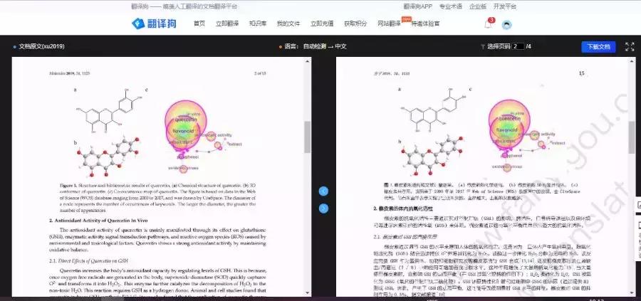 论文英文翻译软件免费推荐,论文翻译工具哪个最好用