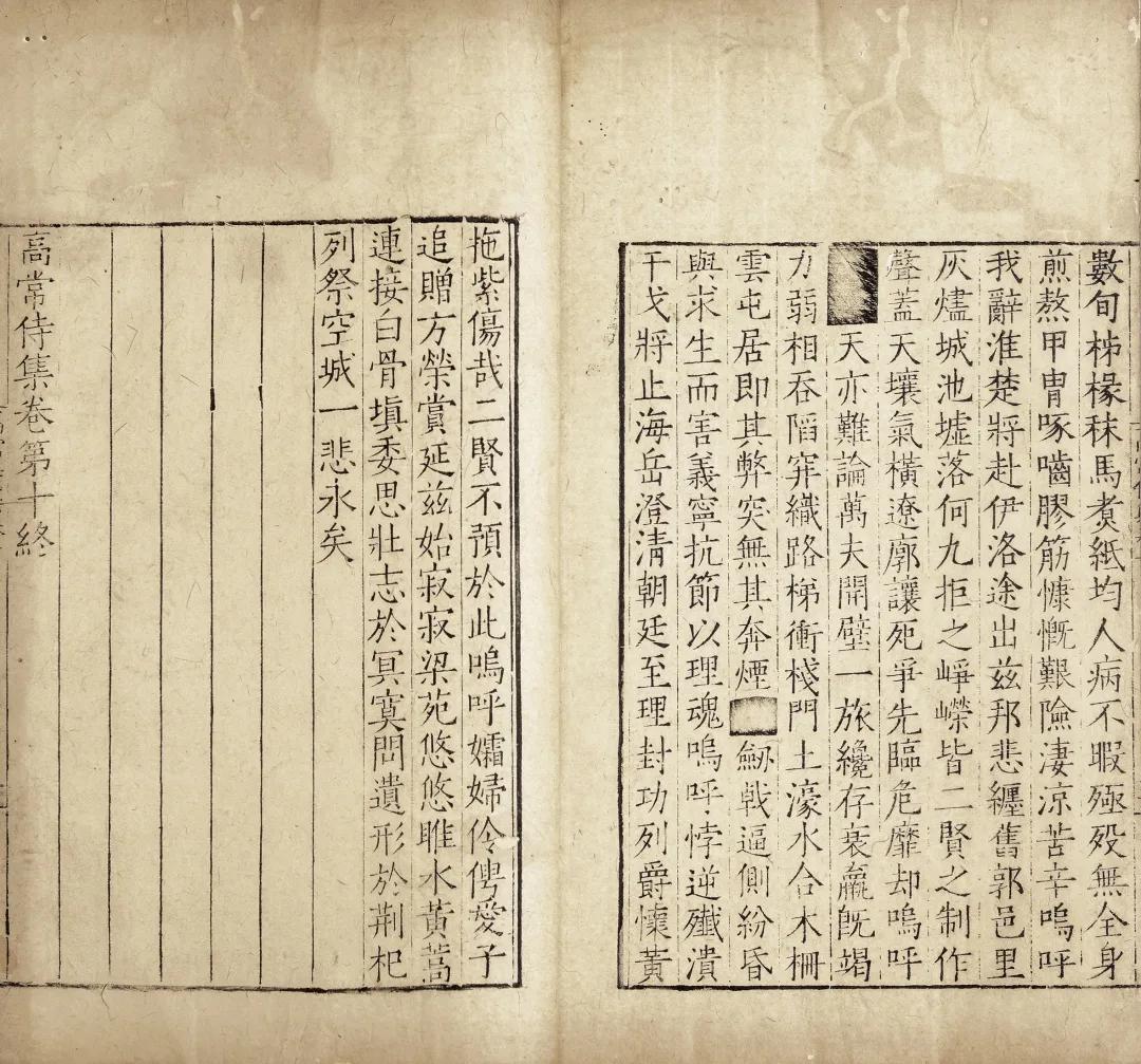 一念莲花开是什么意思,一念莲花开图片