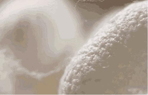 长期盖蚕丝被有什么危害 (长期盖蚕丝被被曝光)