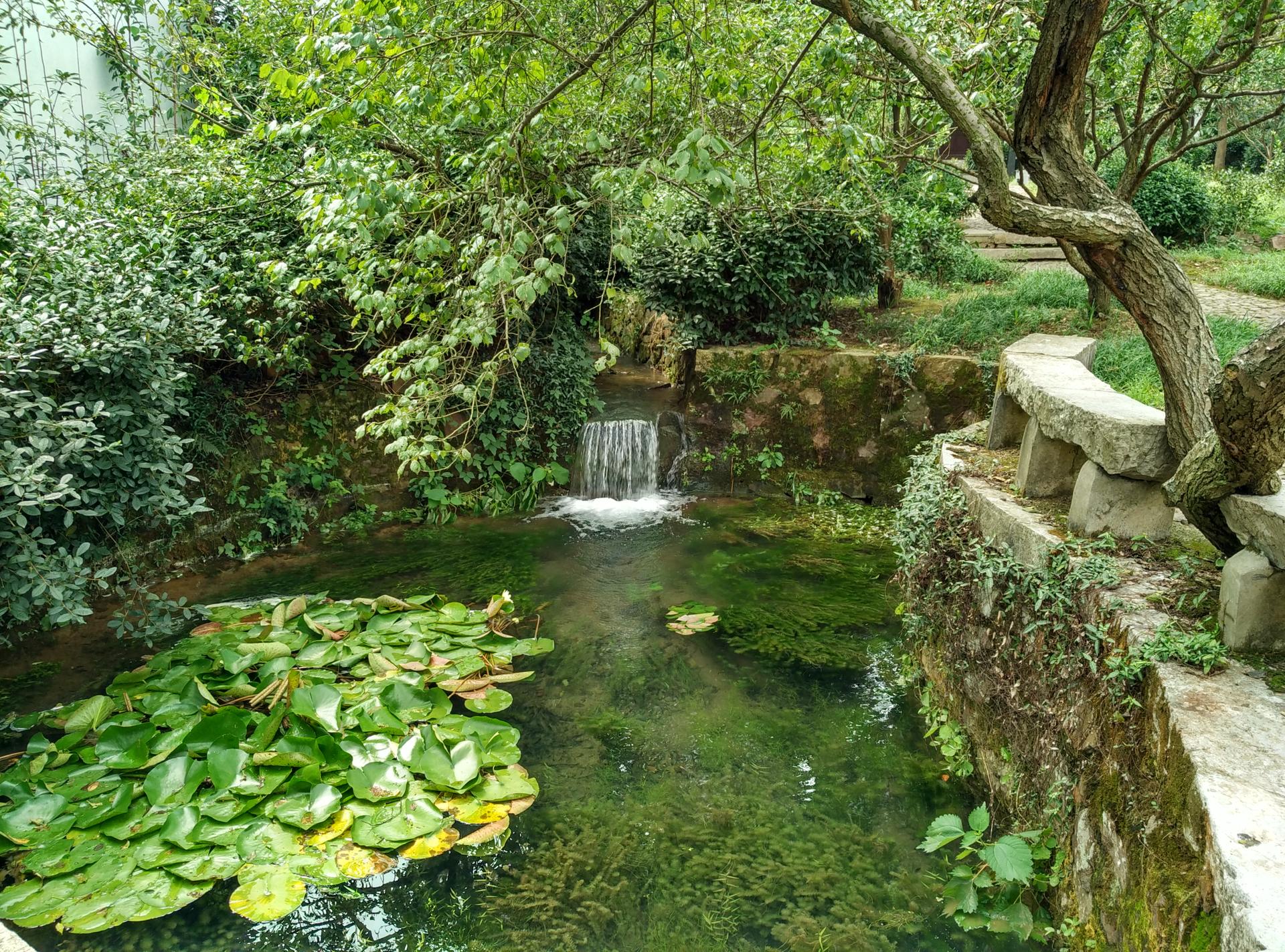 碧螺村边紫金庵，天下罗汉第一堂。