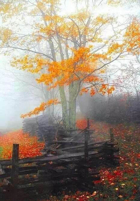 中国县城现状深入调查,中国县城现状原文