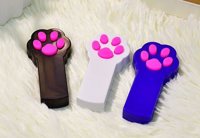 养猫必买哪几样东西 (新手养猫需要买的用品)