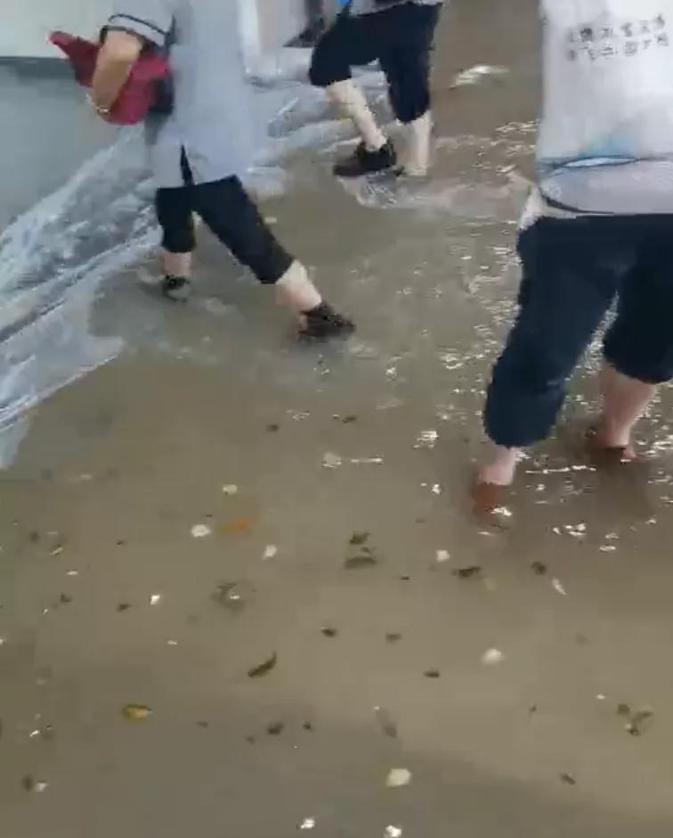 注意！洪水过后，需警惕这些皮肤问题，处理方法来了