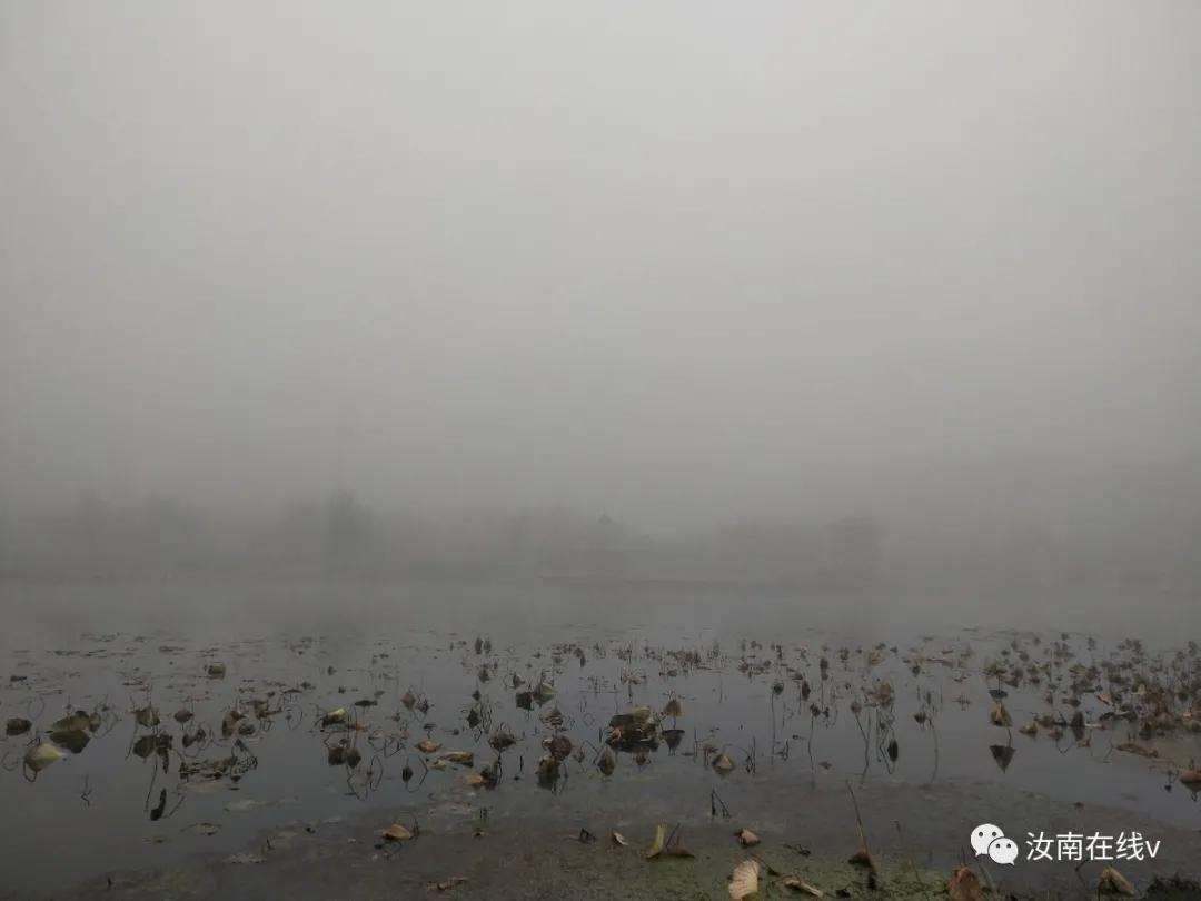 汝南县发布大雾橙色预警,大雾突然来袭视频