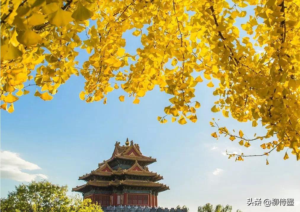 零基础学摄影后期怎么拍,风光摄影100种拍法