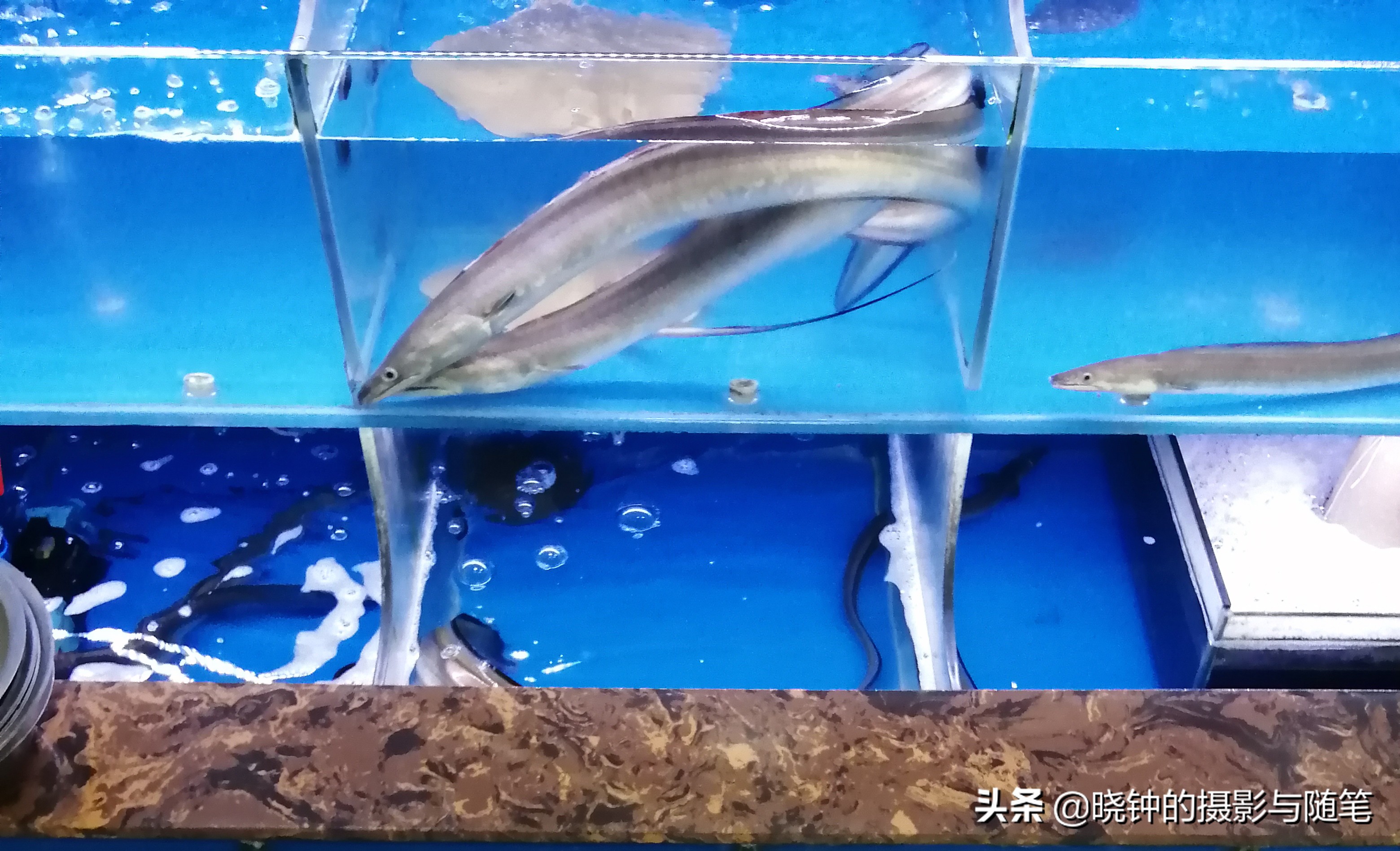 浙江舟山人的幸福生活：住景区、吃海鲜、忙锻炼、慢节奏