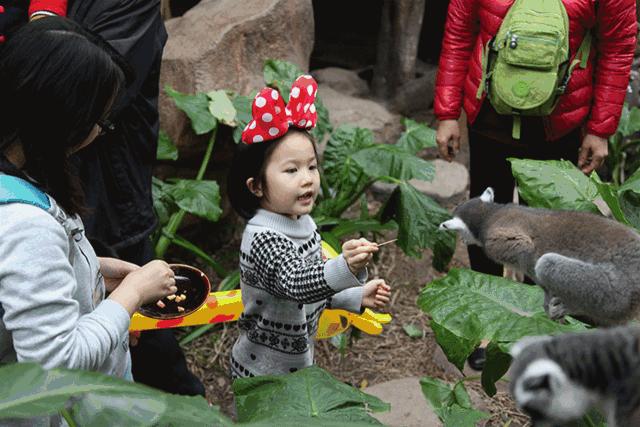 长鹿缤纷泡泡节来啦！原价346元1大1小5A长鹿+童话动物王国等仅99
