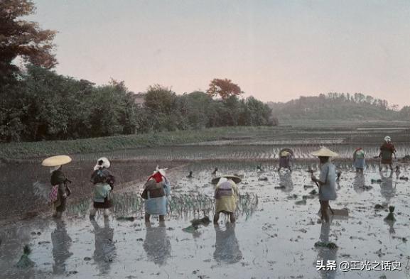 巴西为什么成为日本人的天堂,巴西号称日本人第二故乡
