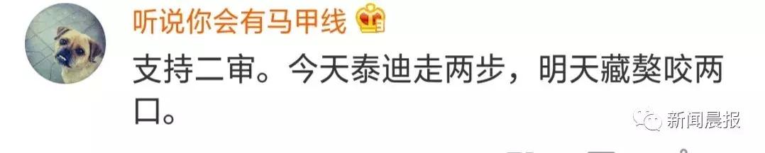 赔了20万！狗狗只是起身走了两步，老人摔成9级伤残！网友炸锅…