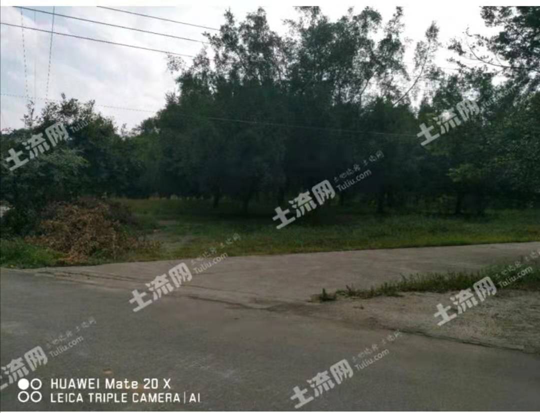 60亩停车场要出租，为什么价格如此便宜，跟随土地哥来一探究竟