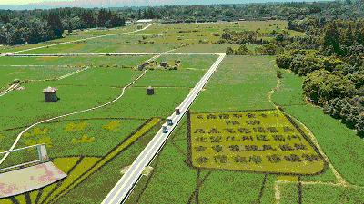 成都周边小镇最安静舒适的小镇,成都周边异域风情小镇