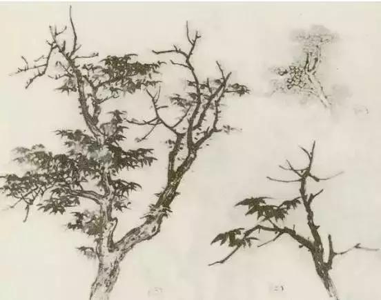 怎么画树最简单而且还最好看,怎么画树才更真实