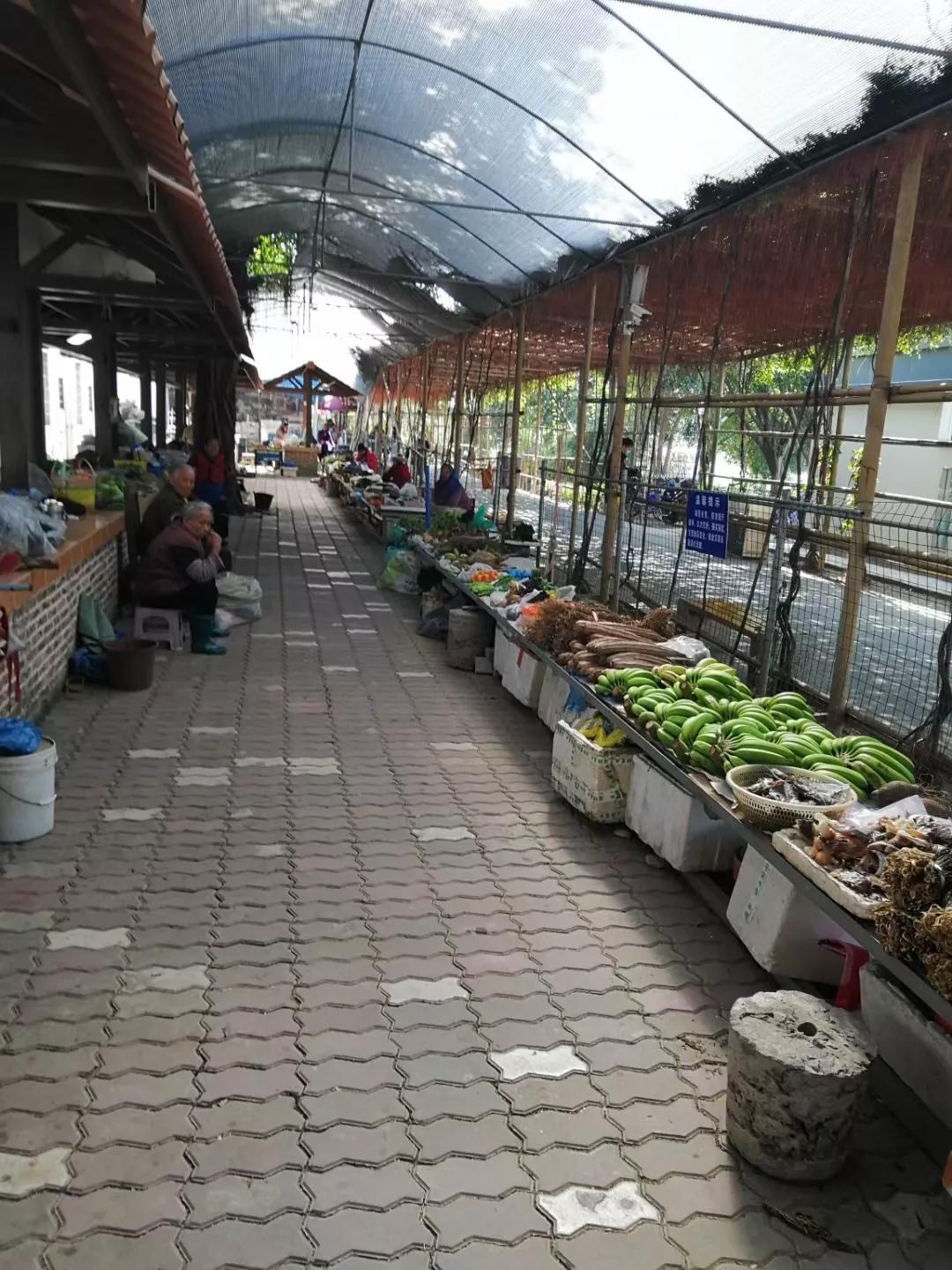 番禺地铁7号线旅游攻略,广州番禺七号线游玩攻略