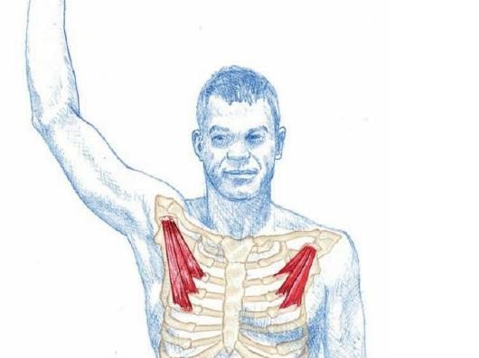 肩膀疼手指麻如何锻炼,手指麻木胀痛做什么操