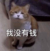 双十一和电商有什么区别,阿里巴巴有没有双十一