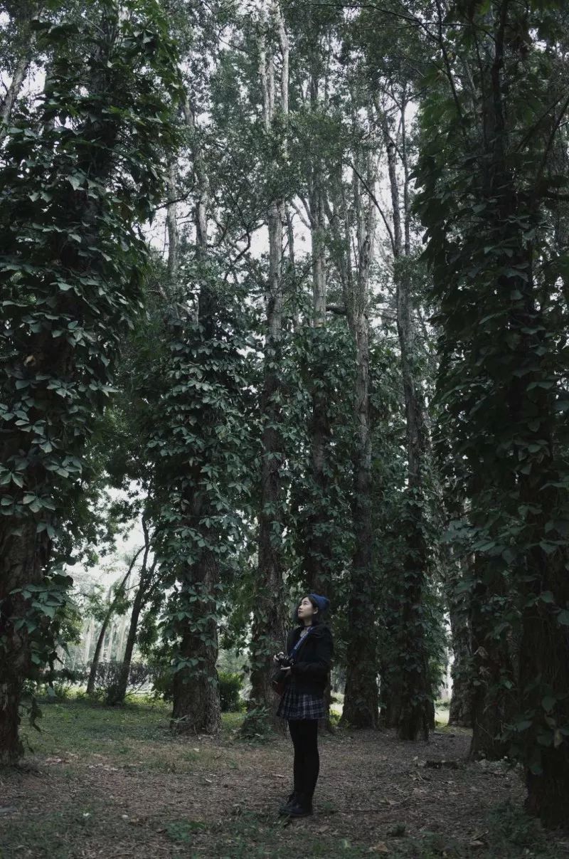 广州简约高级的拍照地方,广州免费室内拍照地方推荐