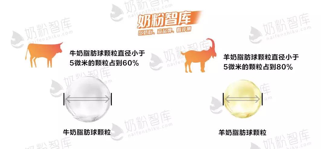 佳贝艾特、Bubs、可瑞康、卡洛塔妮等网红羊奶粉评测，谁更值得选