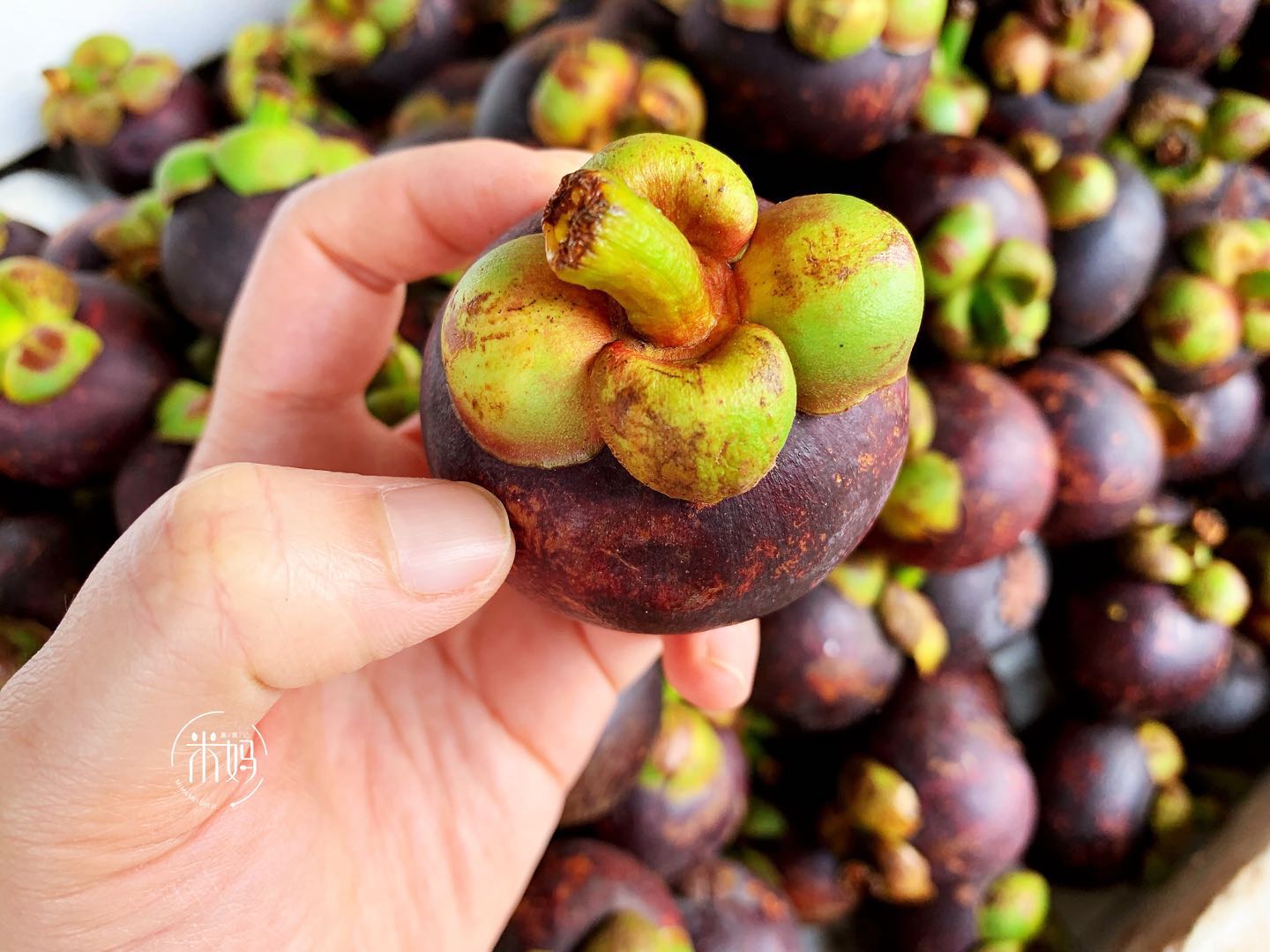 山竹选皮厚还是皮薄,山竹是挑红的还是黑的