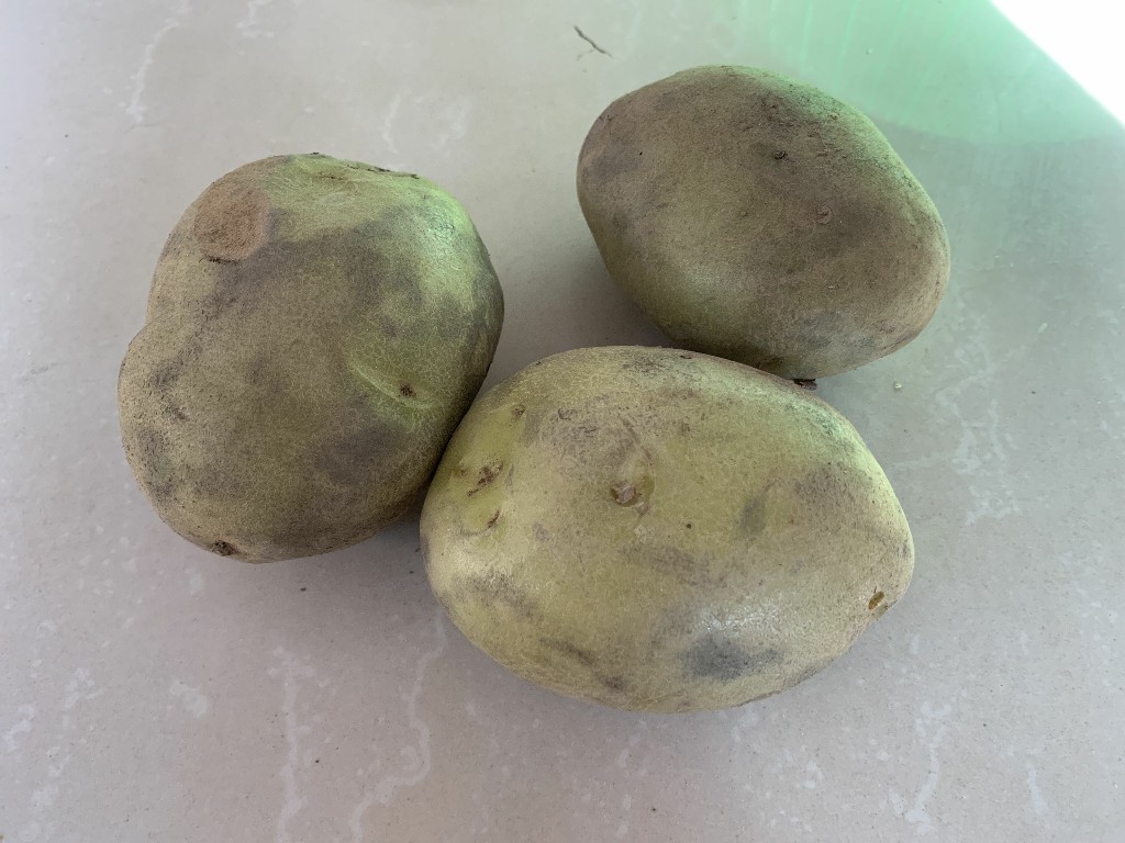 发芽的土豆还能不能种了,生根发芽的土豆能吃么