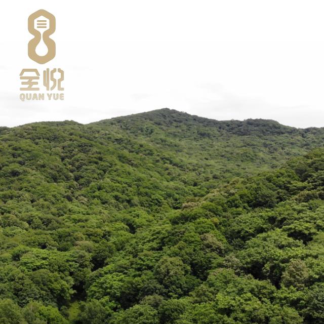 蜂蜜和什么一起做面膜祛斑美白,蛋清小苏打蜂蜜面粉能美白祛斑