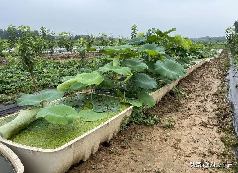 7天3000公里,宝马x57000公里发现烧机油