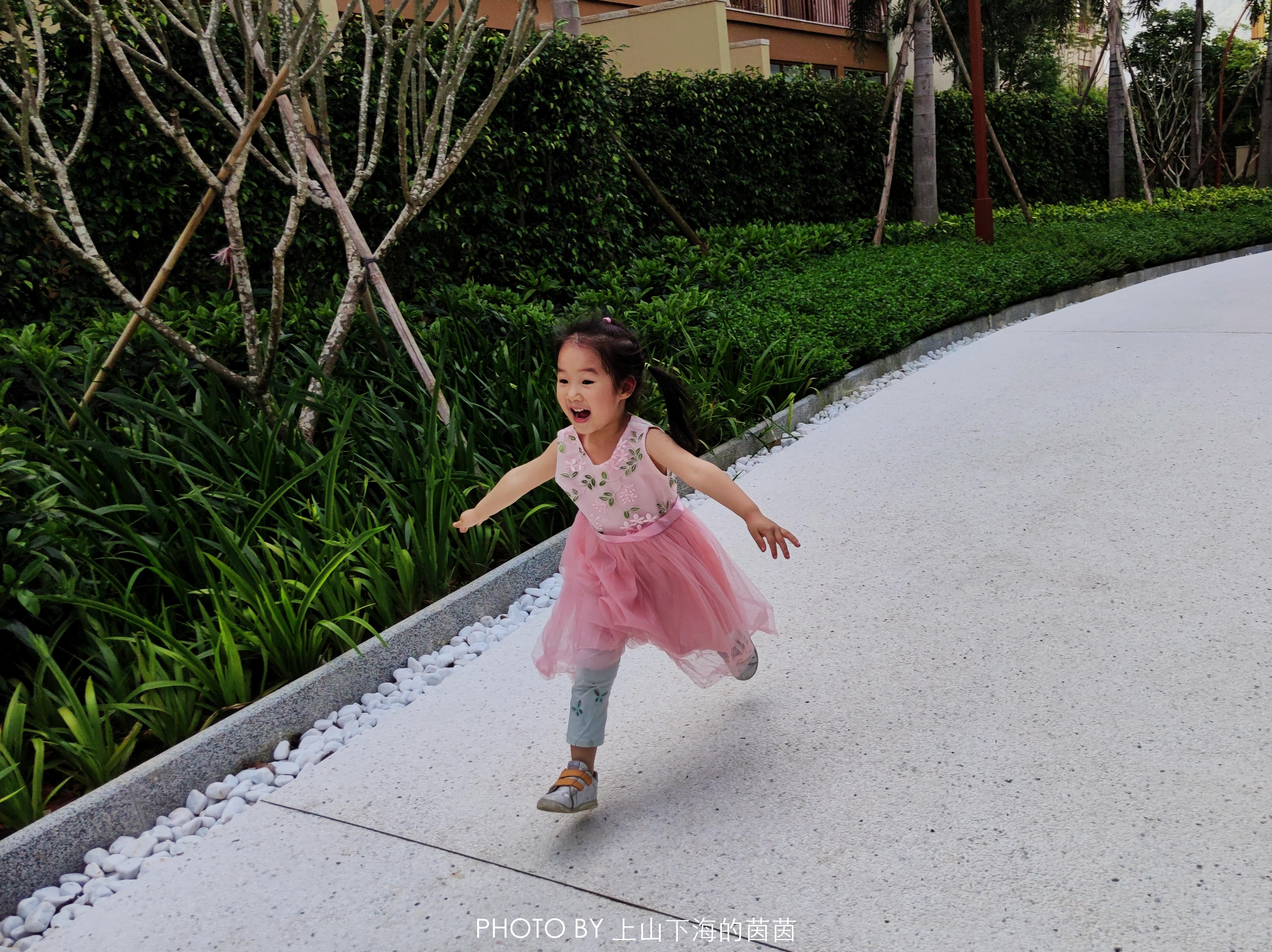 白水寨森林海乐园有什么玩的,白水寨附近免费景点