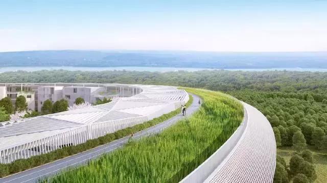 两江新区新建两江巴蜀中学,两江巴蜀中学和两江巴蜀学校