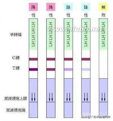排卵期总出错？那是因为你没有注意这3点