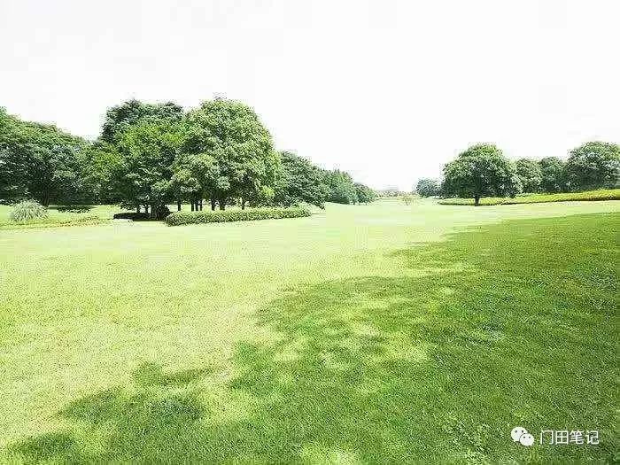 2019ncov,2019-ncov什么时候出现的