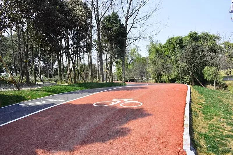 成都双流绿道,双流区绿道建设