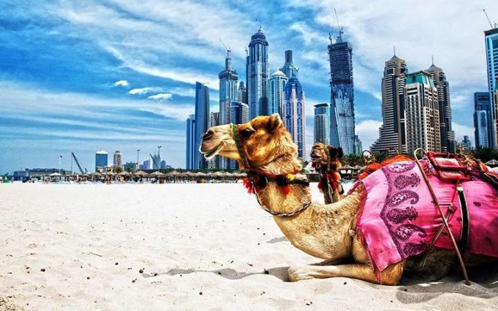 第一次去迪拜还要转机去沙特,第一次去迪拜买单程机票给签证吗