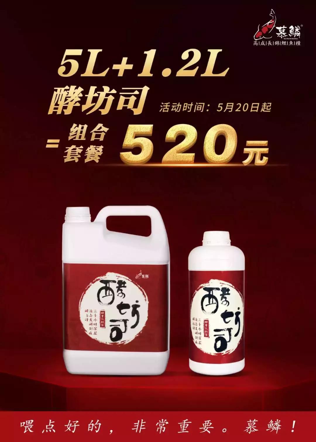 硝化细菌有几种,硝化细菌到底有哪些