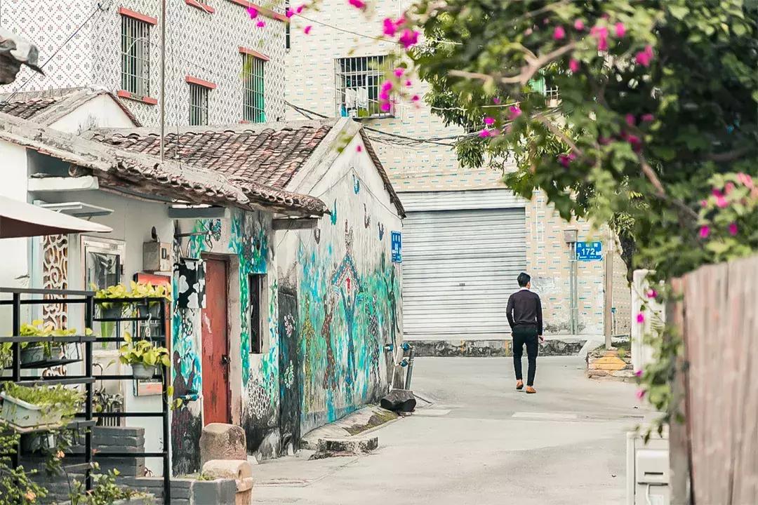 观澜有没有价值,观澜发展得起来吗