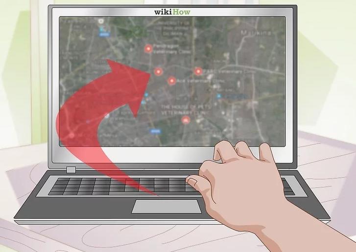 猫咪受伤怎么救助路边,猫咪受伤怎么治疗