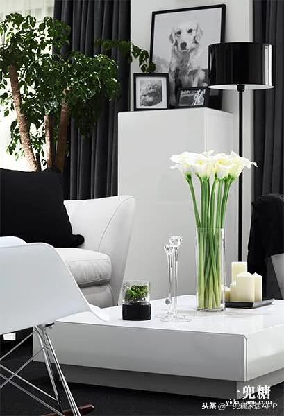 丁克夫妻小户型房子,丁克夫妻房子设计