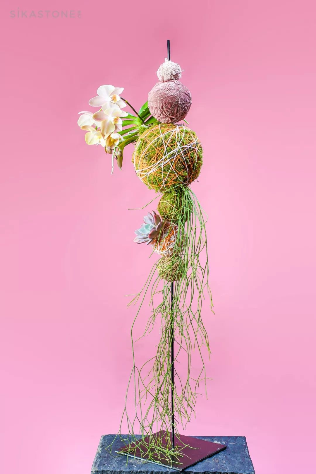 了不起的发明主题目标,了不起的发明主题环创