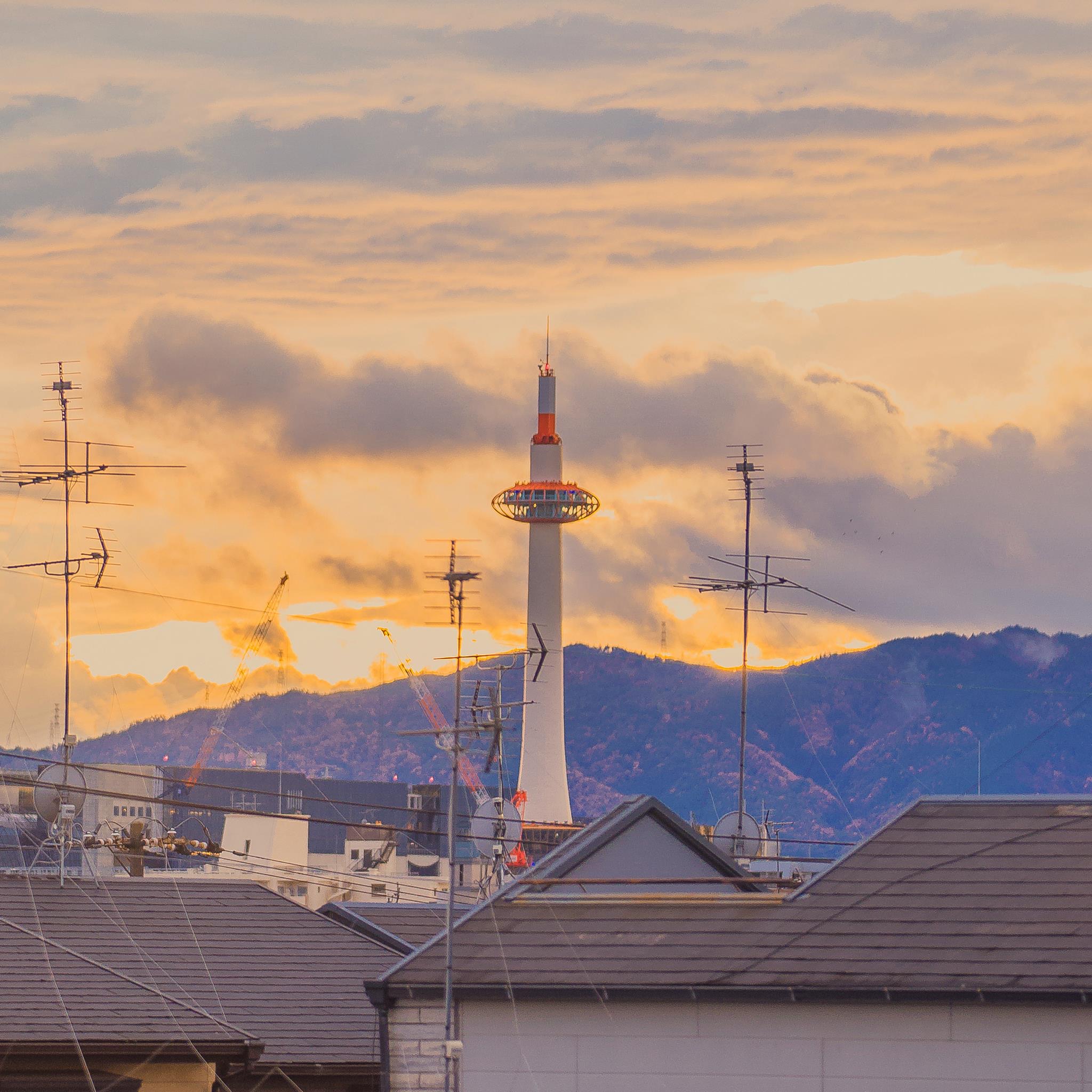 智者不入爱河无情终将上岸壁纸,ipad高清壁纸图片全屏