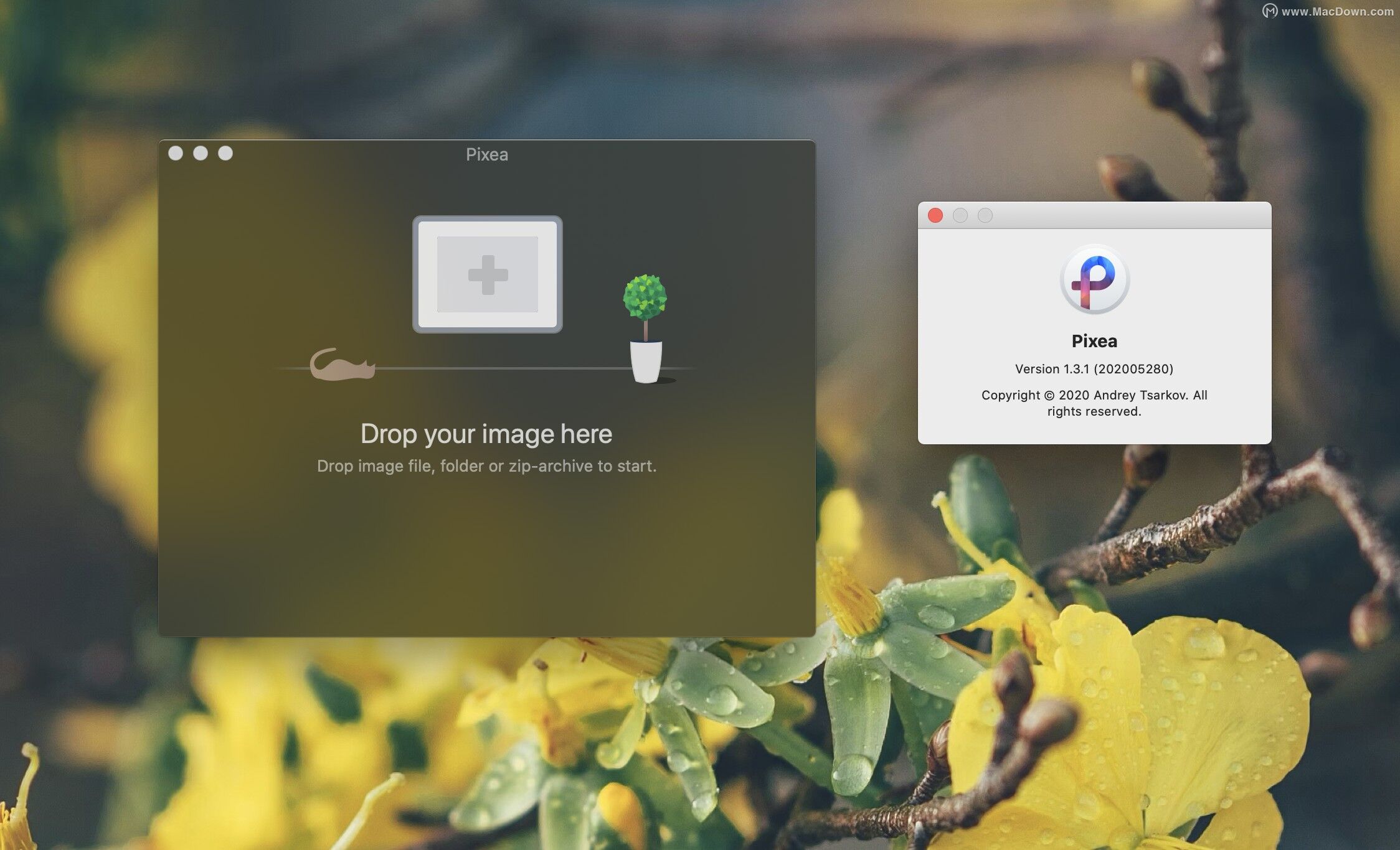 mac比较好用的看图软件,mac支持对比的看图软件