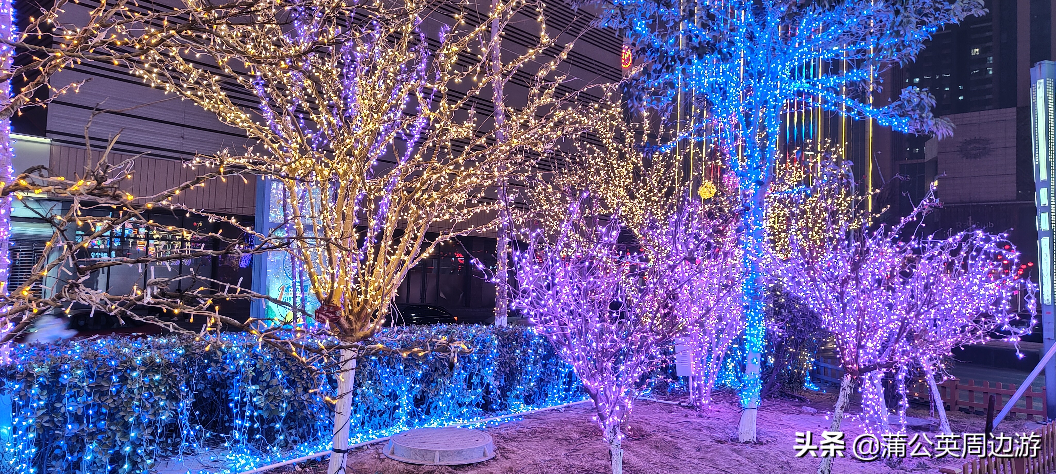 石家庄冬天夜景好看的地方,石家庄火树银花