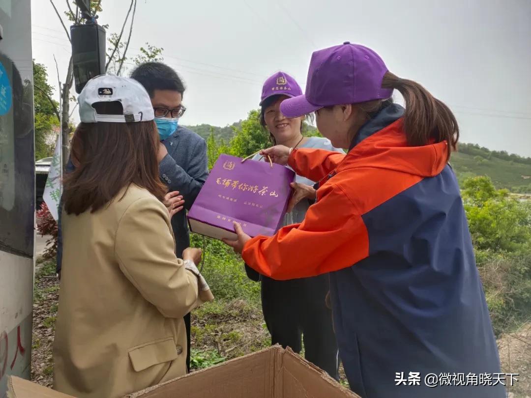 带你看看信阳的茶山美景,信阳浉河茶山直播