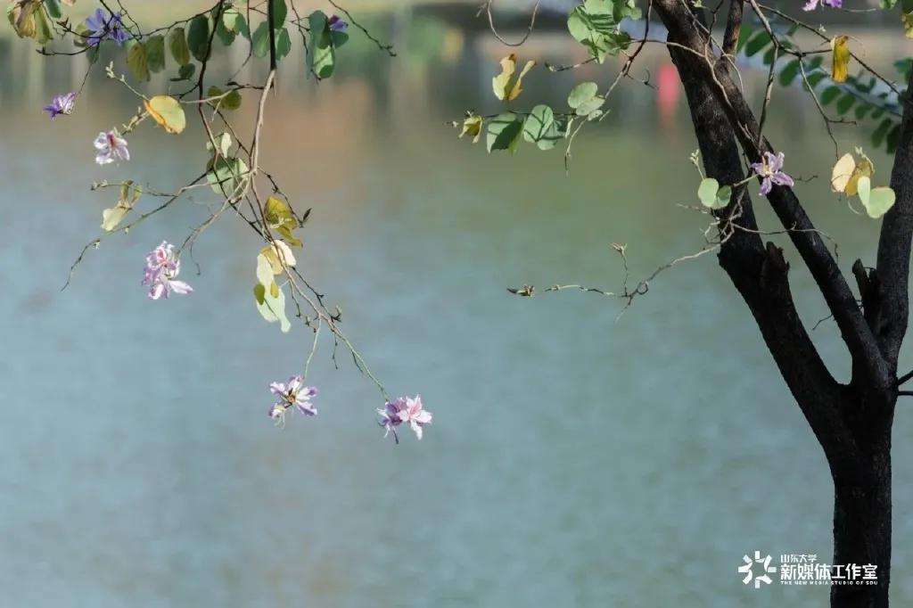 211逆袭北大,985211学霸