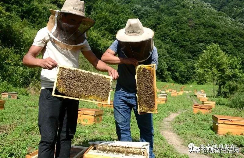 我叫成县,这是我2019年的自拍照