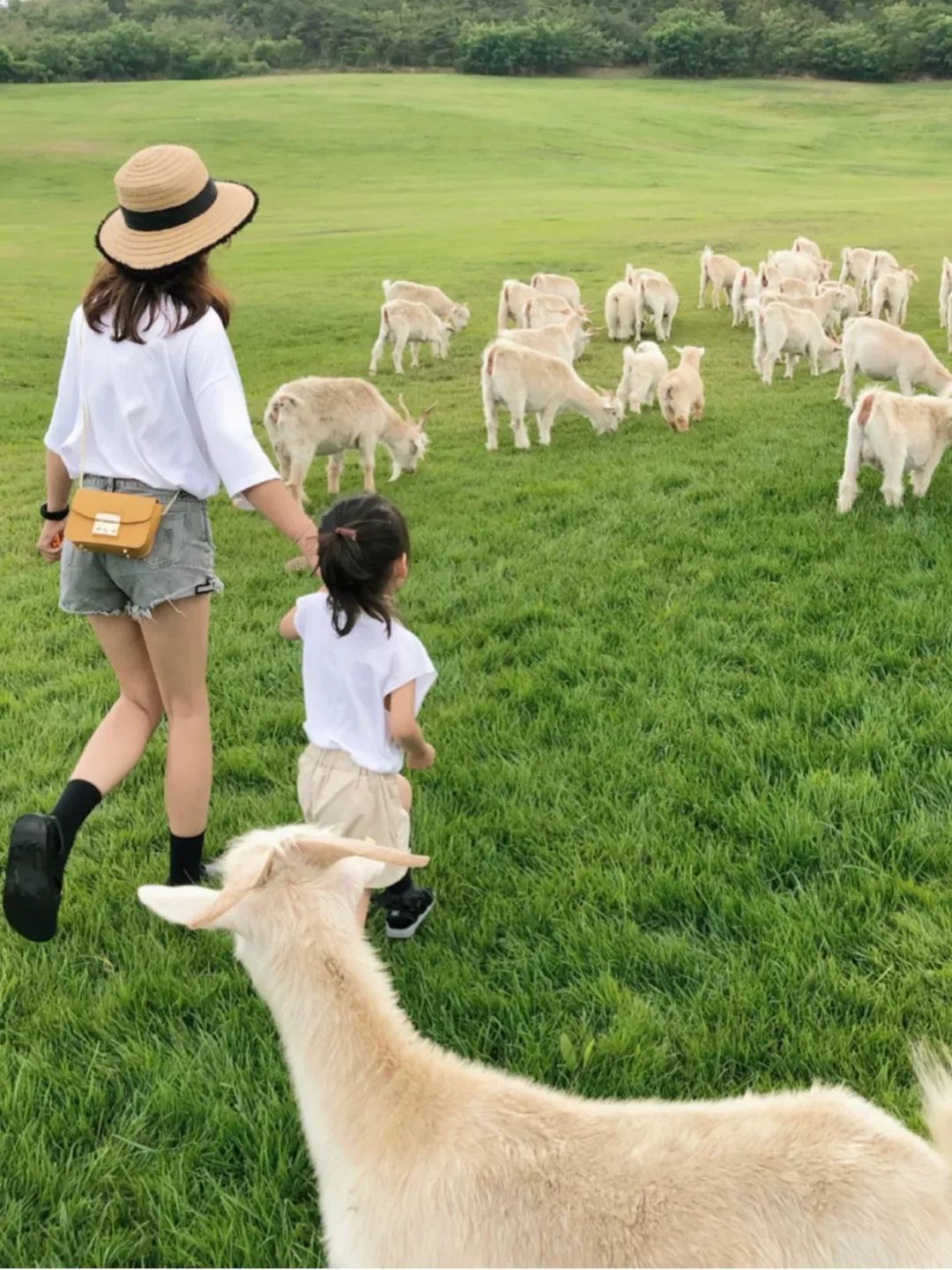 戴口罩的冬天太漫长，差点忘了中国的春天有多美